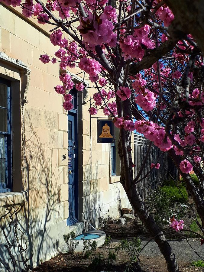 Blue Bell Inn Sorell Exterior foto